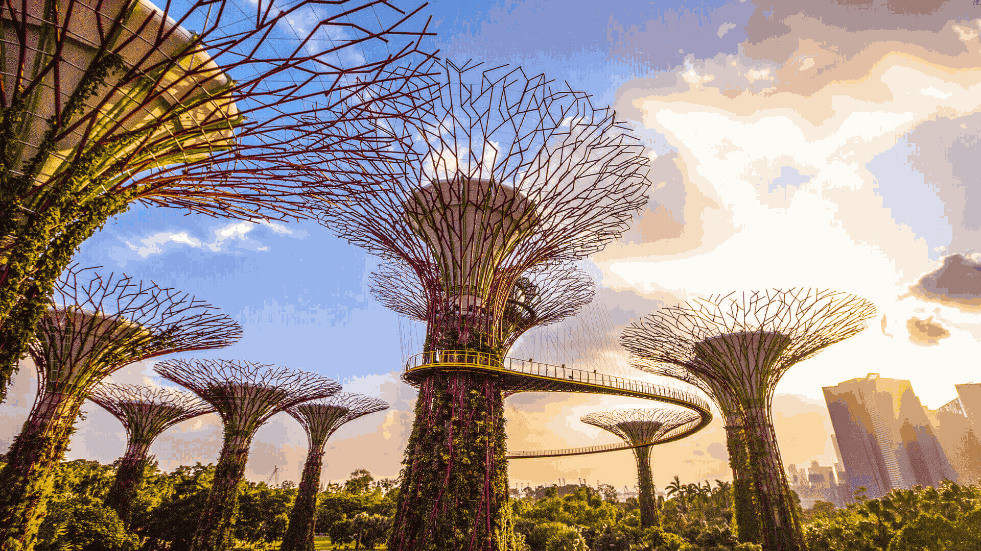 30 Unforgettable Things To Do In Singapore - The Ultimate Guide — LOST SG Blog